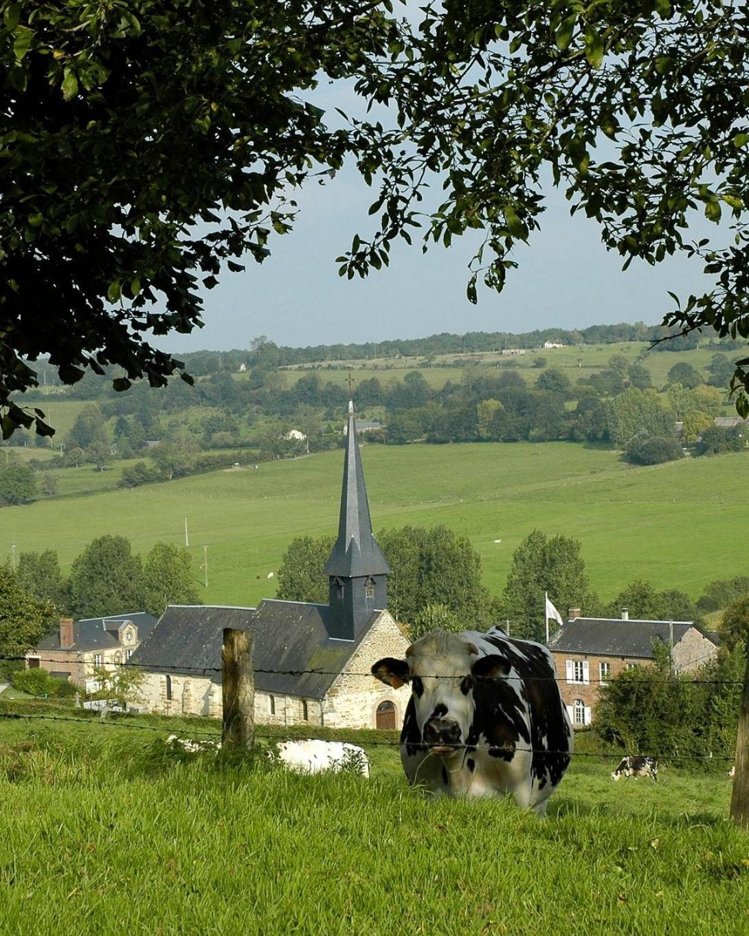 Cottage "Le Bleu D'Orage" Domaine De 7Ha Au Calme Vimoutiers ภายนอก รูปภาพ